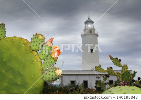 La Mola lighthouse Formentera nopal chumbera La Mola lighthouse Formentera nopal chumbera 140195848