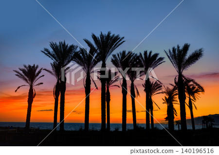 Almeria Cabo de Gata sunset pam trees Retamar Almeria Cabo de Gata sunset pam trees Retamar 140196516