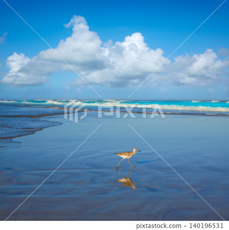 Atlantic Beach in Jacksonville of florida USA Atlantic Beach in Jacksonville of florida USA 140196531
