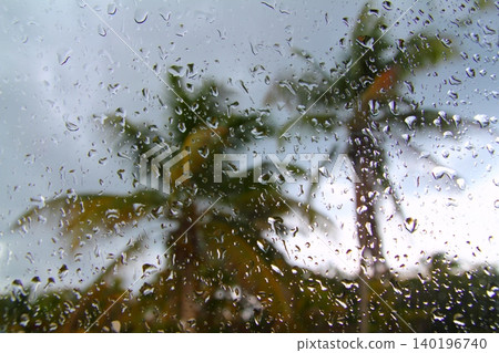 Hurricane tropical storm palm trees from inside car 140196740