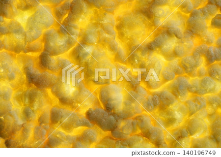 corn yellow cracker biscuit texture background corn yellow cracker biscuit texture background 140196749