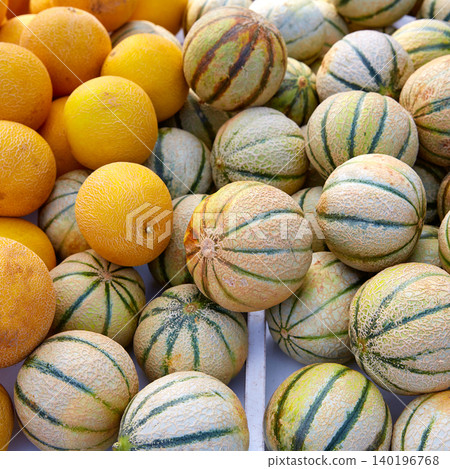 Cantaloupe and yellow melons at the marketplace Cantaloupe and yellow melons at the marketplace 140196768
