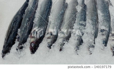 Row of fresh raw silver fish chilled on crushed ice at a supermarket counter 140197179