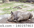 A rhino taking a nap 140197463