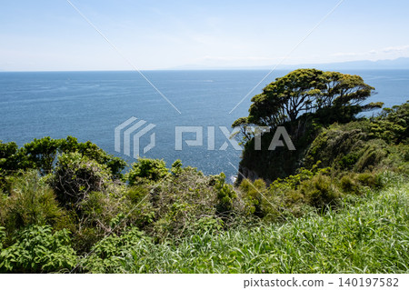 從江之島透過草叢看到的海洋 從江之島透過草叢看到的海洋 140197582