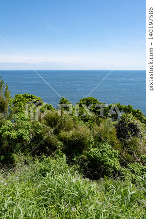 The sea seen through the grass from Enoshima Island The sea seen through the grass from Enoshima Island 140197586