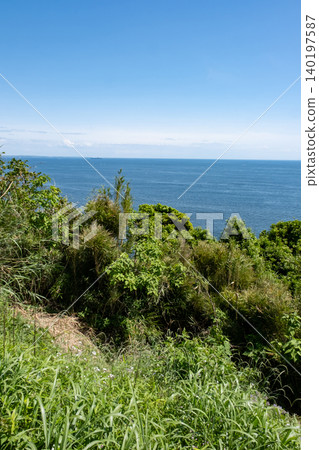 The sea seen through the grass from Enoshima Island The sea seen through the grass from Enoshima Island 140197587