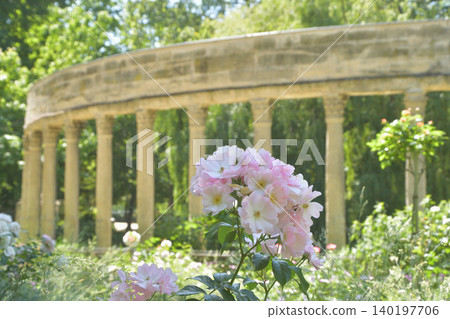 巴黎蒙索公園盛開的美麗玫瑰：初夏花卉的景象（2026年5月26日） 140197706