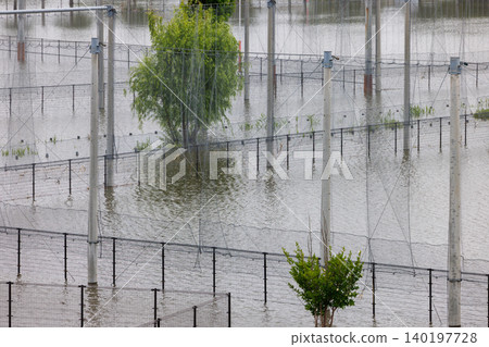 Parks in Yokohama that were submerged due to rivers overflowing during typhoons and heavy rains. 140197728