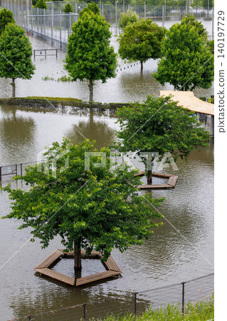 Parks in Yokohama that were submerged due to rivers overflowing during typhoons and heavy rains. 140197729