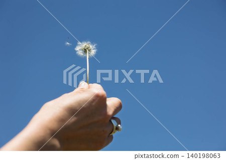 Blue sky and dandelion fluff Blue sky and dandelion fluff 140198063