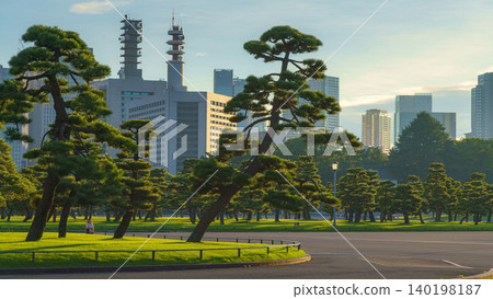 Tokyo, Japan - Oct 01 2024, panoramic view of a park with Japanese black pine trees and glass skyscrapers and a cloudy sky in the background, in the Chiyoda district, without people, Tokyo, Japan 140198187