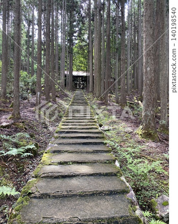 A long stone staircase surrounded by cedar trees and a tranquil approach to the shrine. 140198540