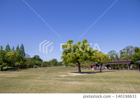 Shimin Shiki no Mori Park 140198631