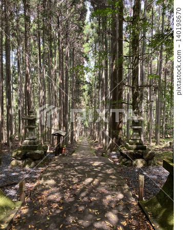 A forest shrine path guided by light A forest shrine path guided by light 140198670