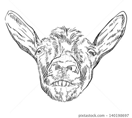 Hand drawing funny goat head with a teeth vector illustration Hand drawing funny goat head with a teeth vector illustration 140198697
