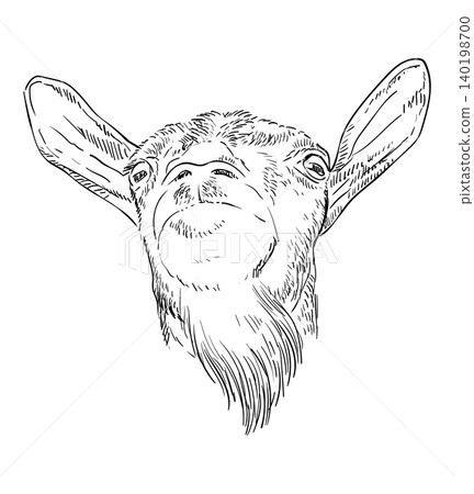 Funny goat head with a beard hand drawing vector illustration Funny goat head with a beard hand drawing vector illustration 140198700
