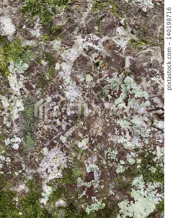 天然岩石表面紋理,覆蓋著苔蘚和地衣 天然岩石表面紋理,覆蓋著苔蘚和地衣 140198716