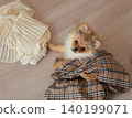 一隻可愛的博美幼犬在客廳裡快樂地玩耍。 一隻可愛的博美幼犬在客廳裡快樂地玩耍。 140199071