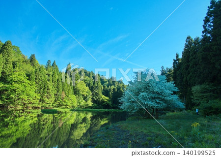Hiraike, Takashima City, Shiga Prefecture Hiraike, Takashima City, Shiga Prefecture 140199525