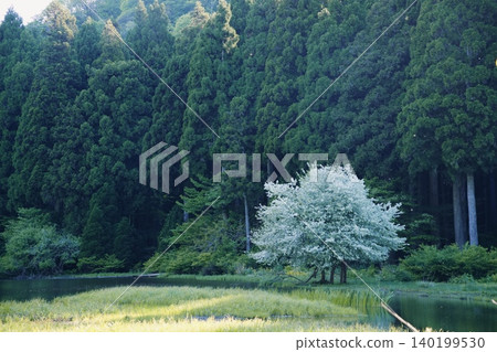 Hiraike, Takashima City, Shiga Prefecture 140199530