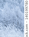 Lycrae of fog and ice 140199780
