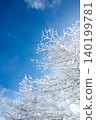 Sky and tree breaking 140199781