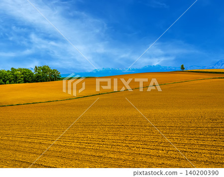Countryside scenery of Biei Countryside scenery of Biei 140200390