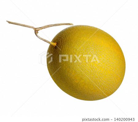 a big round beautiful golden color cantaloup isolated on a white background a big round beautiful golden color cantaloup isolated on a white background 140200943