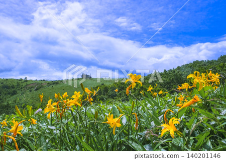 在高原開花 140201146