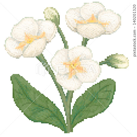 Primrose flower in pixel art 140201320