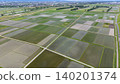 Beautiful geometric patterns in rice paddies in early summer, overlooking the suburban landscape (drone aerial photography) 140201374