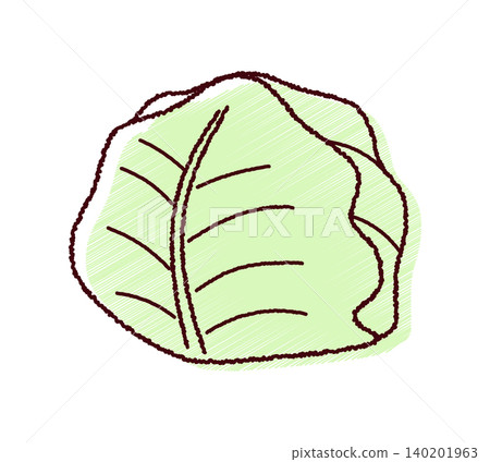 一幅簡潔的素描風格捲心菜插圖。 一幅簡潔的素描風格捲心菜插圖。 140201963