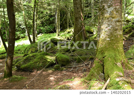 Mt. Akadake and Yatsugatake Mountain Climbing, Nagano Prefecture, Yamanashi Prefecture Mt. Akadake and Yatsugatake Mountain Climbing, Nagano Prefecture, Yamanashi Prefecture 140202015