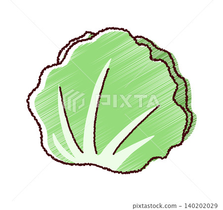 一幅簡單的生菜素描風格插圖。 一幅簡單的生菜素描風格插圖。 140202029