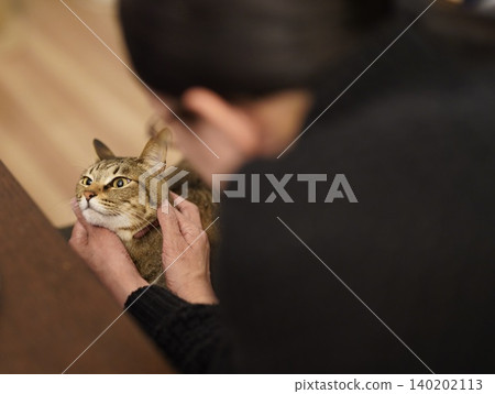 A woman doting on a tabby cat A woman doting on a tabby cat 140202113