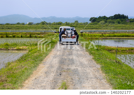 Smart farm operators load drones onto mini trucks. Smart farm operators load drones onto mini trucks. 140202177