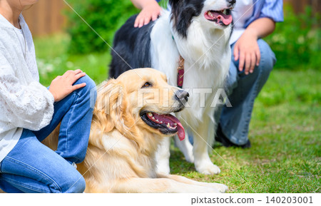 Children touching dogs Children touching dogs 140203001