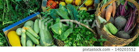 Baskets filled with tomatoes, zucchinis, carrots, and greens rest on grass in a garden. Gloves and a container of raspberries sit nearby after a busy harvest, banner Baskets filled with tomatoes, zucchinis, carrots, and greens rest on grass in a garden. Gloves and a container of raspberries sit nearby after a busy harvest, banner 140203552