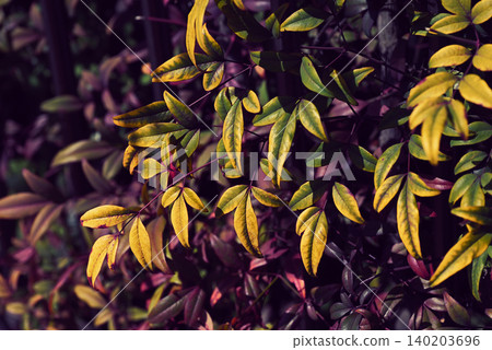 Planting Planting 140203696