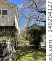A white wall built on top of a stone wall, a single path lined with cherry trees, and a blue sky. 140204127