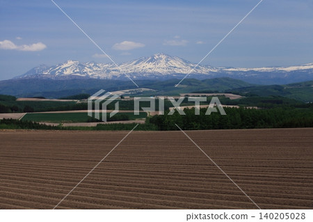 Mount Asahidake and vast farmlands 140205028