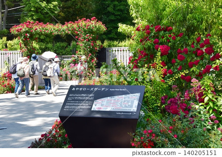 神奈川縣綾瀨市綾瀨玫瑰園入口,玫瑰盛開,遊客熙熙攘攘。 神奈川縣綾瀨市綾瀨玫瑰園入口,玫瑰盛開,遊客熙熙攘攘。 140205151