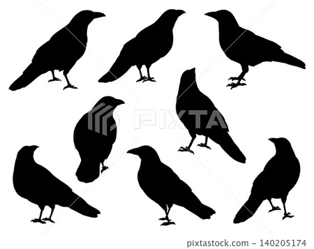 Crow silhouette illustration set Crow silhouette illustration set 140205174