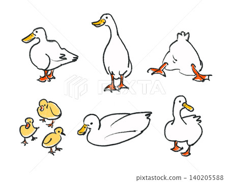 Set of 6 hand-drawn style illustrations of ducks and chicks Set of 6 hand-drawn style illustrations of ducks and chicks 140205588