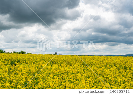 Humprecht Castle tower rises above blooming rapeseed fields (Brassica napus, canola) in foreground, surrounded by rural farmland and open countryside in Czech Republic. Humprecht Castle tower rises above blooming rapeseed fields (Brassica napus, canola) in foreground, surrounded by rural farmland and open countryside in Czech Republic. 140205711