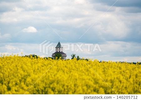 Humprecht Castle tower rises above blooming rapeseed fields (Brassica napus, canola) in foreground, surrounded by rural farmland and open countryside in Czech Republic. Humprecht Castle tower rises above blooming rapeseed fields (Brassica napus, canola) in foreground, surrounded by rural farmland and open countryside in Czech Republic. 140205712