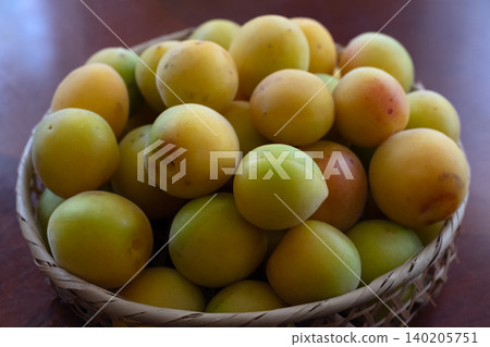 Abundantly ripened plums in season Abundantly ripened plums in season 140205751
