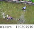 每個人的公園 140205940