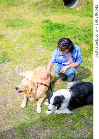 girl playing with dog girl playing with dog 140206042